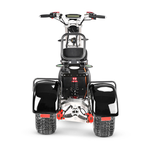 Scooter à 3 roues avec batteries amovibles, nouveau modèle - Product Image 2