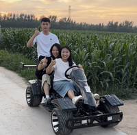 Go-Kart Eléctrico Biplaza de Primera Categoría con Ruedas de Aluminio de 10 Pulgadas, Go-Karts de Alta Velocidad para Adultos, Uso en Exteriores, Alcance de 50 km