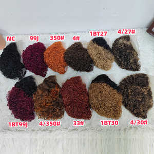 Promotion 13,8 $ : Perruques Courtes Bouclées Pixie Colorées en Gros, 13x4 Lace Frontal, 100% Cheveux Humains, Effet Mouillé et Ondulé - Product Image 5