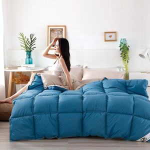 Edredón <span class=keywords><strong>de</strong></span> terciopelo <span class=keywords><strong>de</strong></span> <span class=keywords><strong>plumas</strong></span> gruesas, ropa <span class=keywords><strong>de</strong></span> <span class=keywords><strong>cama</strong></span> <span class=keywords><strong>de</strong></span> Hotel blanca cálida para primavera, otoño e invierno, tamaño King, venta al por mayor, regalo <span class=keywords><strong>de</strong></span> bienestar para uso doméstico - Product Image 6