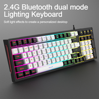 Nouveau clavier ergonomique à membrane personnalisé à 96 touches, double couleur, 2,4 G, USB-C, éclairage RVB, pour ordinateur portable