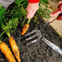 Greenworks — tondeuse à gazon 3 pièces avec manche en bois, ensemble d'outils de jardin en acier, fournisseur en chine