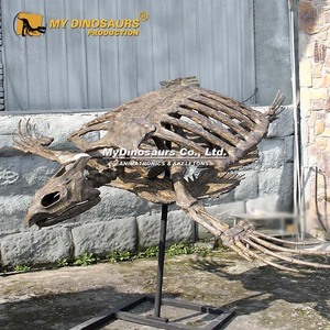 내 DINO AS-063 인공 하이 시뮬레이션 3D 동물 해골 Archelon 거북이 화석 - Product Image 3