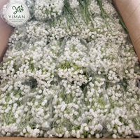 Buket Bunga Baby Breath Buatan dari Karet Lembut Putih Real Touch Grosir YM, Bunga Baby Breath Palsu untuk Dekorasi Pernikahan