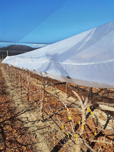 Bâche de protection transparente 150 GSM en HDPE renforcé avec film tissé et lamination LDPE, avec œillets - Product Image 1