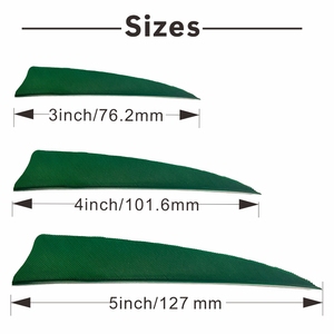 Pluma de tiro con arco de 3 pulgadas y 4 pulgadas, escudo parabólico de ala izquierda y derecha, pluma de Tiro con Arco Natural con barras sólidas - Product Image 2