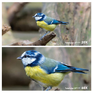 Lente de zoom Apexel 20-60X con trípode y clip para visualización de paisajes, fotografía de Luna salvaje y observación de aves - Product Image 3