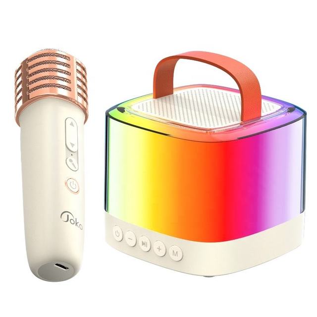 Portable Karaoke Speaker with Microphone Bluetooth Party Sound System Active Home Audio Speaker for Indoor Outdoor Use