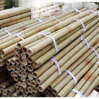 Tiang Penyangga Tomat dari Bambu Alami, Tiang Bambu Kustom