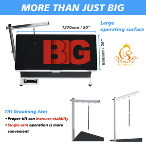 EUR PET Plegable Hierro Elevador eléctrico <span class=keywords><strong>Mesa</strong></span> DE ASEO Perro Gato <span class=keywords><strong>Mesa</strong></span> de peluquería con excelentes características Producto superior Aseo de mascotas - Product Image 5