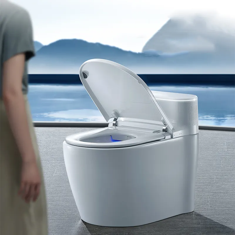 Sensore acqua in ceramica automatico sciacquone bagno intelligente un pezzo Bidet elettrico Smart Wc Water Water