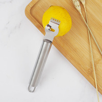 Citron Zester Outil Éplucheur D'agrumes Zester Râpe À Fruits En Acier Inoxydable Râpe Couteau À Éplucher Gadget De Cuisine Polyvalent