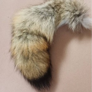<span class=keywords><strong>Coyote</strong></span> Tail Fox Dog Tail Fur Pendant Bag Key Shoe Hat Colgante - Product Image 1