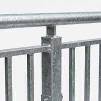 Rampe d'escalier en acier galvanisé au design moderne, anti-corrosion, fixation au sol avec garantie de 5 ans, garde-corps extérieur