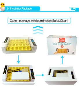 Incubateur automatique pour œufs de poulet WONEGG, taux d'éclosion élevé, capacité de <span class=keywords><strong>24</strong></span> œufs, meilleure qualité - Product Image 6