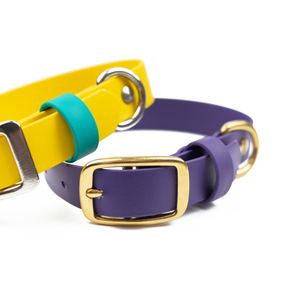 <span class=keywords><strong>Collar</strong></span> de correas recubiertas de PVC para perros, accesorio personalizado Bicolor, impermeable, para mascotas al aire libre, proveedor de fábrica <span class=keywords><strong>China</strong></span>, venta al por mayor - Product Image 3