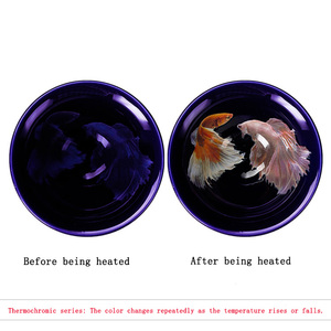 Reversible Thermochromic Powder Heat Sensitive Color Changing Pigment for Mug Jewelry Nail Art Ink Plastic Injection Craft DIY - Product Image 4