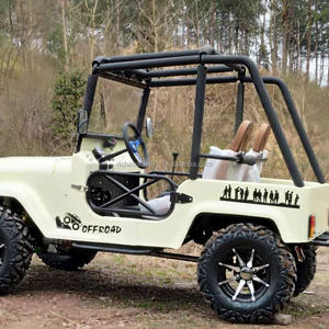 <span class=keywords><strong>Precio</strong></span> al por Mayor, <span class=keywords><strong>Jeep</strong></span> de 320cc de Alto Rendimiento, 2 Plazas, <span class=keywords><strong>Jeep</strong></span> Club 2WD con Capacidad de Escalada para Diversión al Aire Libre - Product Image 6