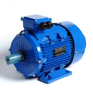 Gost Standard 3-Phase Industrial Electric Motor 220V 380V 400V 3000RPM with 50Hz Frequency Russian EAC Certificate