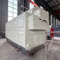 Chaudière à vapeur horizontale DZH 1t 2t pour charbon, bois, biomasse, pyrolyse de pneus, chaudière à eau chaude industrielle