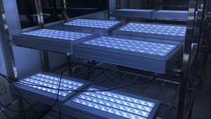 A prova di spruzzo di sale IP68 LED illuminazione verde blu luce per acquario barca luce da pesca 500W 800W 1000W 316 Anti corrosione SUS - Product Image 5