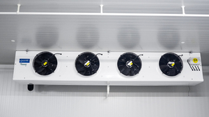 Коммерческое взрывное устройство для холодильного хранения морских продуктов - Product Image 2