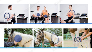 Nuovo Dispositivo di Terapia Magnetica PEMF Kaphatech per Fisioterapia Equina PMST LOOP PRO <span class=keywords><strong>MAX</strong></span> - Product Image 5