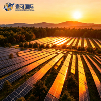 Kit de ferme solaire photovoltaïque forestière à grande échelle avec système de support au sol à grande hauteur pour l'installation photovoltaïque en forêt