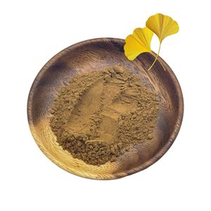 Số lượng lớn 24.0% flavones 6.0% lactones 24/6 Ginkgo Leaf chiết xuất bột Ginkgo Biloba chiết xuất - Product Image 1