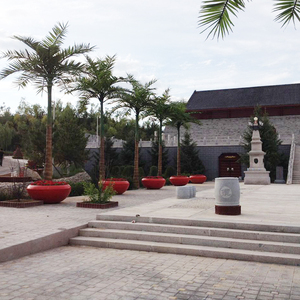 Grande al aire libre barato de los árboles de coco Artificial Cycas Palm árbol de China - Product Image 1