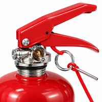 Vanne d'extincteur CO2 en laiton certifiée CE avec levier rouge pour bouteilles industrielles 2-10 kg, service OEM