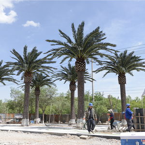 Искусственная пальма финиковая для декора в тропическом стиле, устойчивая к УФ-излучению, для отелей, аэропортов, тематических парков, ландшафтного дизайна на открытом воздухе - Product Image 4