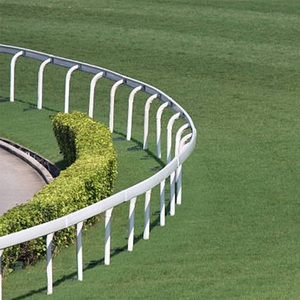 Tùy chỉnh Trắng Vinyl ngựa hàng rào Panels cho racecourses và chăn nuôi trang trại UV kháng và được thiết kế cho an toàn PVC ngựa hàng rào - Product Image 1