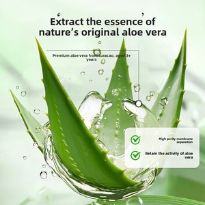 Gel d'<span class=keywords><strong>aloe</strong></span> <span class=keywords><strong>vera</strong></span> nourrissant et éclaircissant pour le soin de la peau du visage, gel réparateur apaisant, naturel, biologique, 99% pur gel d'<span class=keywords><strong>aloe</strong></span> <span class=keywords><strong>vera</strong></span>, marque privée - Product Image 2
