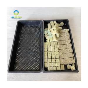 Plateau <span class=keywords><strong>pour</strong></span> plantes Plateau <span class=keywords><strong>de</strong></span> semis hydroponique 55x28.5cm <span class=keywords><strong>Pot</strong></span> <span class=keywords><strong>de</strong></span> fleurs rectangulaire en plastique <span class=keywords><strong>pour</strong></span> la culture <span class=keywords><strong>de</strong></span> graines <span class=keywords><strong>de</strong></span> plantation d'intérieur en <span class=keywords><strong>laine</strong></span> <span class=keywords><strong>de</strong></span> <span class=keywords><strong>roche</strong></span> - Product Image 4