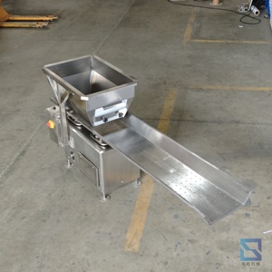 Özelleştirilmiş Elektrikli Hızlı Döner Yatay Hareketli Otomatik Paketleme PLC Gıda Taşıma Titreşimli Plastik Besleme - Product Image 6