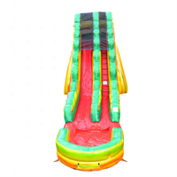 Toboggan aquatique gonflable vert de 19 pieds avec piscine