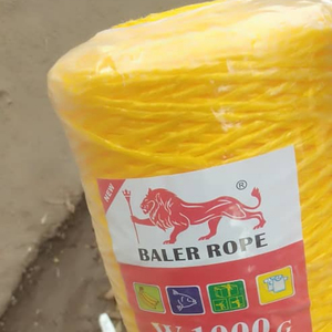 2mm Pp <span class=keywords><strong>Baler</strong></span> <span class=keywords><strong>Twine</strong></span> 1000g harga yang baik ketahanan tinggi pertanian kemasan benang - Product Image 1