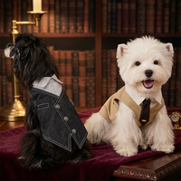 Vêtements mignons pour animaux de compagnie, style princesse, pour chiens et chats, veste en jean pour Bichon et Yorkshire Terrier