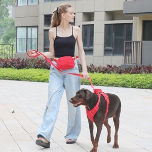 Harnais de luxe en velours côtelé anti-traction pour chien, collier et laisse personnalisés de créateur, sac à dos mignon pour promenades, laisse et harnais pour chien - Product Image 5