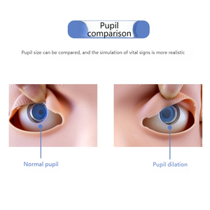 Maniquí Portátil <span class=keywords><strong>de</strong></span> RCP para Entrenamiento Doméstico - <span class=keywords><strong>Simulador</strong></span> <span class=keywords><strong>de</strong></span> Primeros Auxilios y Rescate en el Hogar - Product Image 4