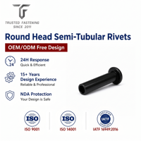 Rivets semi-tubulaires à tête ronde personnalisés TianFang pour prototypes de liaisons de pompes, acier oxydé noir, tailles sur mesure, fourniture OEM ODM