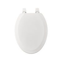 Siège de toilette élégant en bois moulé, support robuste, utilisation durable, facile à installer, idéal pour la modernisation des toilettes à domicile et à l'hôtel