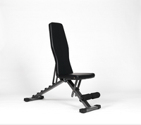 Équipement de fitness pour la maison, haltères métalliques réglables, banc d'exercice pliable, portable, sûr, charge maximale de 120 kg