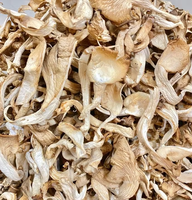 Champignons d'huître séchés naturels purs, entiers ou en tranches, sans soufre, sans additifs, nutritifs, cultivés en vrac, certifiés BRC, HACCP, KOSHER