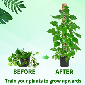 Poste de musgo recubierto de plástico de 24 pulgadas, apilable, para soporte de plantas, para Monstera y plantas trepadoras de interior, uso en invernadero - Product Image 2