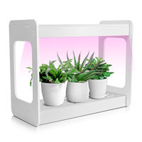 Système d'éclairage LED miniature pour culture intérieure OEM ODM, spectre complet 10W IP65, lampe intelligente pour plantes pour la maison et le jardin