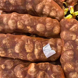 Radice di Taro Fresca di Qualità Premium, Taro Cocoyam Dasheen <span class=keywords><strong>Eddoe</strong></span> Arbi Colocasia, Patata Taro, Prezzo all'Ingrosso per l'Esportazione - Product Image 3