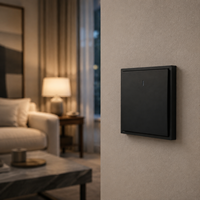 Prise murale standard européenne 16A, panneau PC, durable, résistant au feu, pour maison, hôtel, appartement