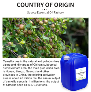 Aceite Portador de Semillas de <span class=keywords><strong>Camelia</strong></span> Natural 100% Puro Prensado en Frío - Aceite de <span class=keywords><strong>Camelia</strong></span> de 1KG Más Vendido para el Cuidado de la Piel y el Cabello - Product Image 2